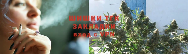 тгк Лиски