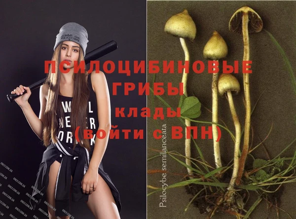 дурь Лихославль