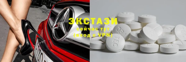 ECSTASY Липки
