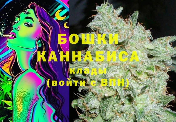 тгк Лиски