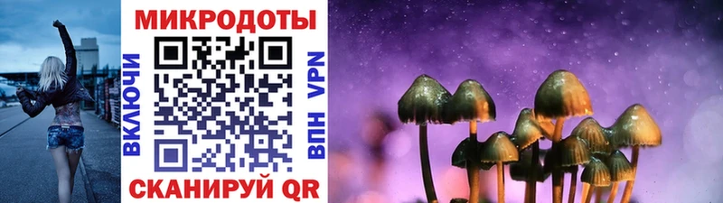 blacksprut ССЫЛКА  Феодосия  Галлюциногенные грибы Magic Shrooms 