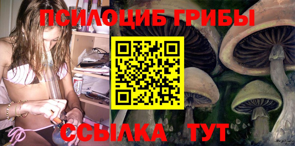 Псилоцибиновые грибы Cubensis  купить наркоту  Феодосия  Галлюциногенные грибы Psilocybine cubensis  Вход с VPN 