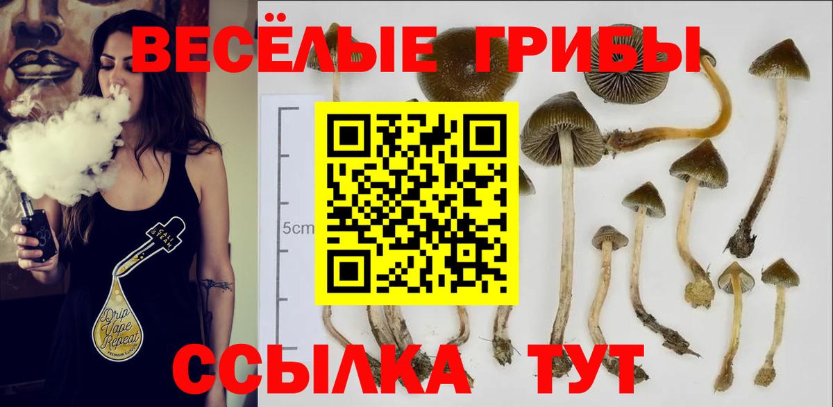 Галлюциногенные грибы прущие грибы Феодосия