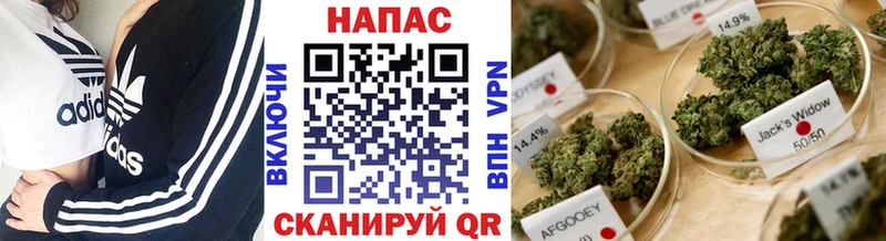 наркотики  Феодосия  мега сайт  Бошки Шишки планчик 